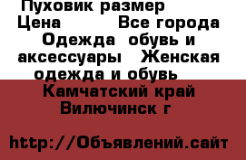 Пуховик размер 42-44 › Цена ­ 750 - Все города Одежда, обувь и аксессуары » Женская одежда и обувь   . Камчатский край,Вилючинск г.